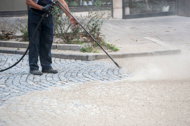 Best Fence Cleaning  in Buena Park, CA